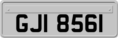 GJI8561