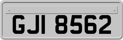 GJI8562