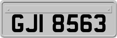 GJI8563