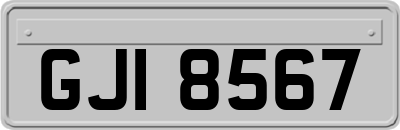 GJI8567
