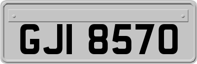 GJI8570