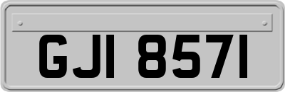 GJI8571