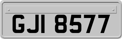 GJI8577