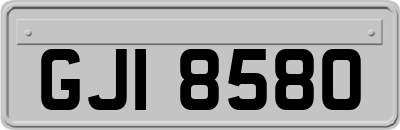 GJI8580