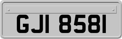 GJI8581