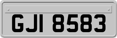 GJI8583
