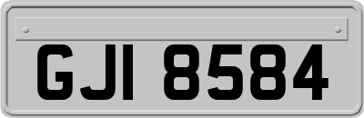 GJI8584