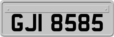 GJI8585