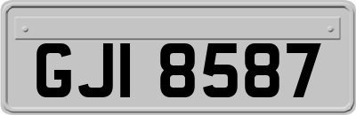 GJI8587