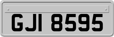 GJI8595