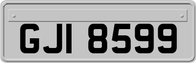 GJI8599