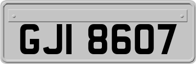 GJI8607
