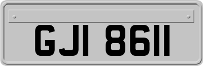 GJI8611