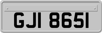 GJI8651