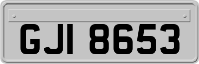 GJI8653