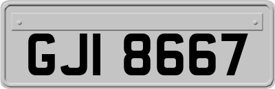 GJI8667