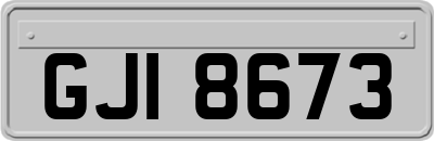 GJI8673