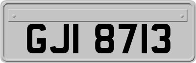 GJI8713