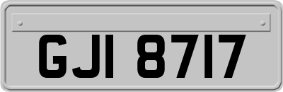 GJI8717