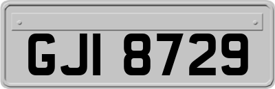 GJI8729