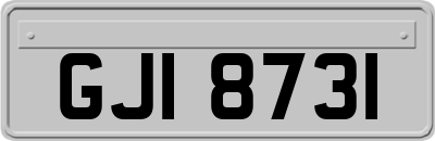 GJI8731