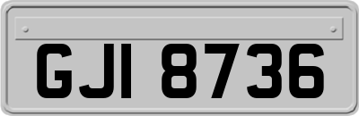 GJI8736