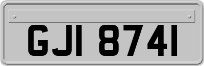 GJI8741