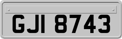GJI8743