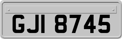 GJI8745