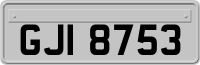 GJI8753