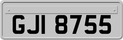 GJI8755