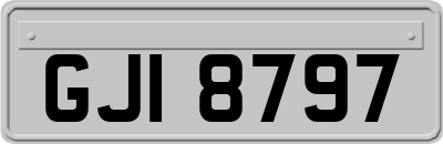 GJI8797
