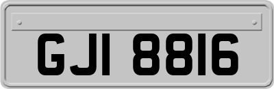 GJI8816
