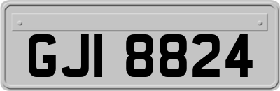 GJI8824
