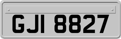 GJI8827