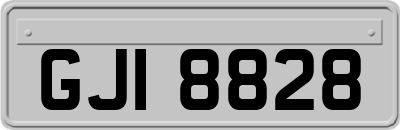 GJI8828