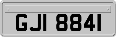 GJI8841