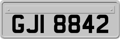 GJI8842