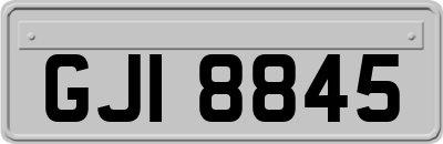 GJI8845