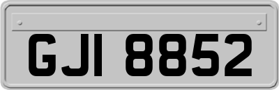 GJI8852