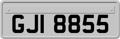 GJI8855