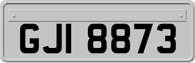 GJI8873