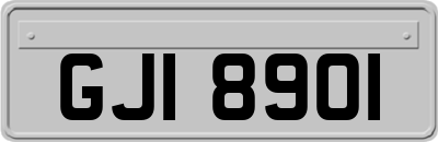 GJI8901