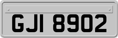 GJI8902