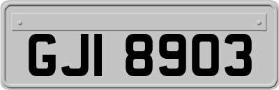 GJI8903