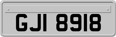 GJI8918