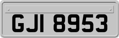 GJI8953
