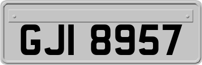 GJI8957