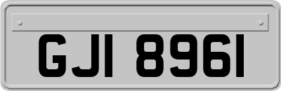 GJI8961
