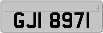GJI8971